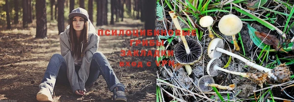 кокаин Всеволожск