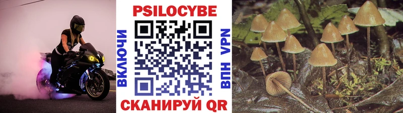 Псилоцибиновые грибы мицелий  Боровск 